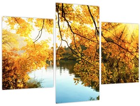 Tablou - Copac de toamnă (90x60 cm)