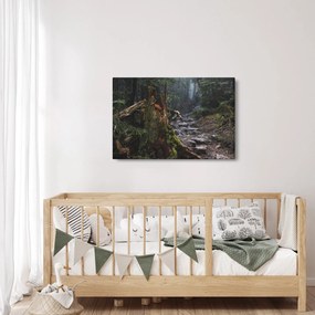 Tablou - În pădure (90x60 cm)
