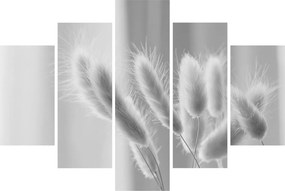Tablou - Iarbă de coadă de iepure (150x105 cm)