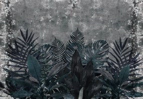 Fototapet - Plante în întuneric (147x102 cm)
