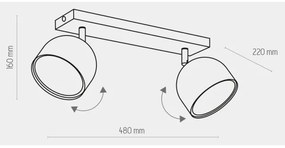 Spot ALTEA 2xAR111 GU10/50W/230V negru
