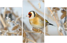 Tablou - Ciredeaua (90x60 cm)