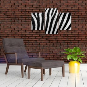 Tablou cu piele de zebră (90x60 cm)