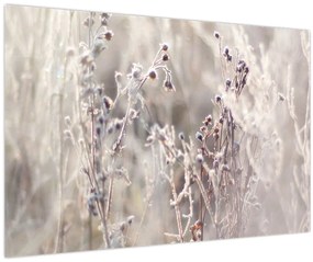 Tablou - Plante (90x60 cm)