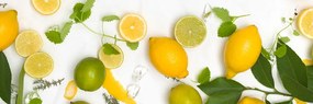 Tablou amestec de fructe citrice