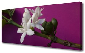 Tablou pe panza canvas Flower Tulpini Floral Alb Verde