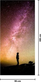 Fototapet pentru ușă - Cer plin de stele (95x205cm)