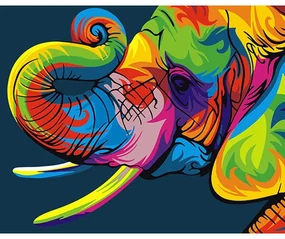 Pictura pe numere cu un cadru "Elefant colorat" 50x40 cm
