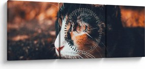 Tablou - Privirea pisicii (cu ceas) (90x30 cm)