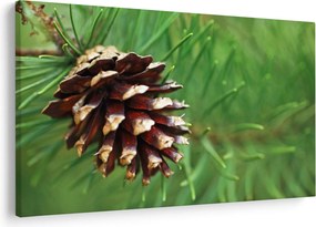 Tablou cu con (90x60 cm)