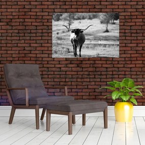 Tablou - Vacă,alb-negru (90x60 cm)