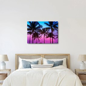 Tablou - Palmieri din Miami (70x50 cm)