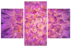Tablou detailat cu floare (90x60 cm)