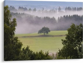 Tablou - Lunca cu copac (70x50 cm)