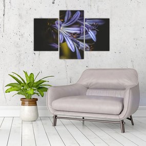 Tablou - Lila (90x60 cm)