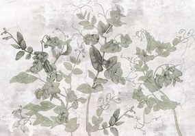 Fototapet - Plante în tencuială (147x102 cm)