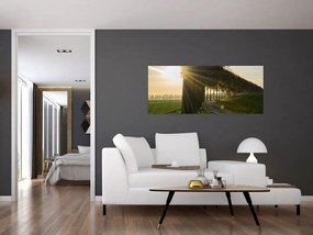 Tablou cu alee (120x50 cm)