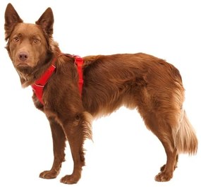 Ham pentru caini - Ruffwear Front Range - Red Canyon - XXS