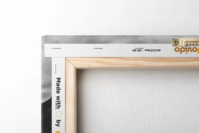 Tablou răsărit de soare frumos în Noua Zeelandă în design alb-negru