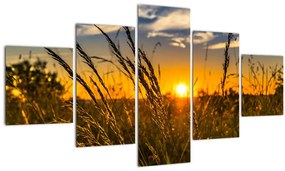 Tablou cu câmp în apus de soare (125x70 cm), în 40 de alte dimensiuni noi