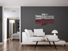 Tablou cu maci (90x60 cm)