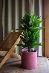 Ghiveci decorativ din ceramică handmade ø 18 cm Fortuna – Artevasi