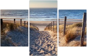 Tablou - Drum spre plaja din Marea Nordului, Țările de Jos (90x60 cm)