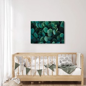 Tablou - Opuntia (90x60 cm)