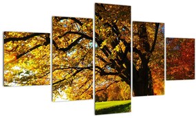 Tablou cu copac toamna (125x70 cm), în 40 de alte dimensiuni noi