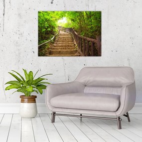 Tablou - Scări în natură (70x50 cm)