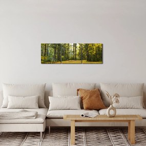 Tablou - pădurea toamna (cu ceas) (90x30 cm)