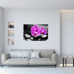 Tablou - Orhidee violet (90x60 cm)