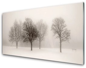 Tablouri acrilice Zăpadă Copaci Peisaj Alb Brun