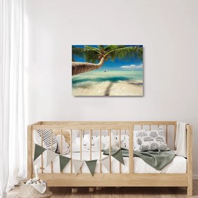 Tablou pe sticlă - Mare curată cu palmier (70x50 cm)