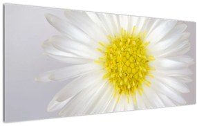 Tablou - Margarita (120x50 cm)
