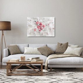 Tablou pe sticlă - Fructe congelate (70x50 cm)