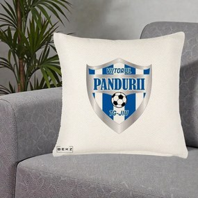 Perna Personalizata Pandurii Targu Jiu Fotbal, 40x40 cm, Crem Reliefat, Husa Detasabila, Perna Inclusa, BEKZ®
