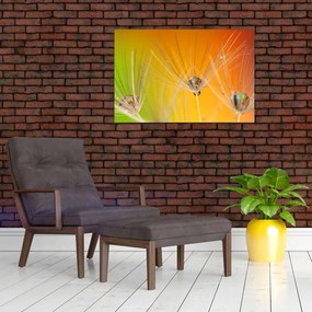 Tablou cu picături pe plantă (90x60 cm)