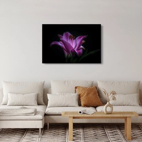 Tablou crinul (90x60 cm)