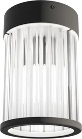 Mini Plafoniera din metal negru si sticla Fiatto PL 8