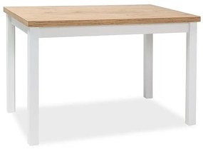 Masa de bucaterie Adam 100 x 60 cm, stejar lancelot / alb