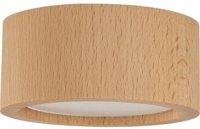 Spot EVE 1xGX53/11W/230V fag