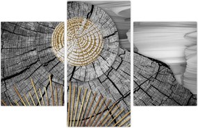 Tablou - Trunchiul copacului colaj (90x60 cm)