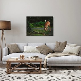 Tablou pe sticlă cu pui de cerb (70x50 cm)