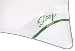 Set 2 perne Sleep by Green Future 10% puf gasca 90% pana de gasca, 50x70 cm