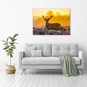 Print pe canvas Sunrise deer