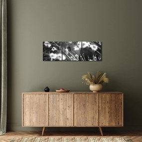 Tablou - Pânza de păianjen în pajiște (cu ceas) (90x30 cm)