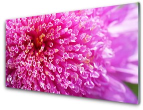 Tablou pe sticla Florale flori roz