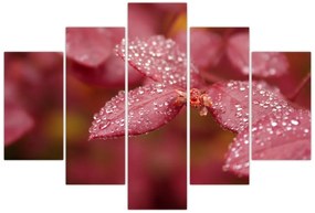 Tablou - Imagine macro a biletului (150x105 cm)
