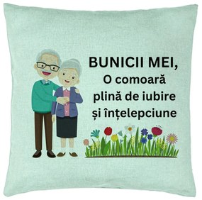 Perna Decorativa pentru Bunici 4, 40x40 cm, Verde Menta, Husa Detasabila, Burduf